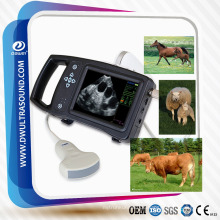 DW-S650 Ultraschallgerät für die Schweinehaltung, Schweine-Ultraschall